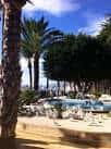 Área recreativa del Parque de Elche con piscina y árboles frondosos bajo cielo azul