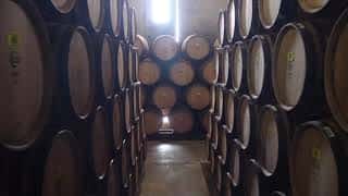 Visitas guiadas a la Tonelería Huberto Domecq
