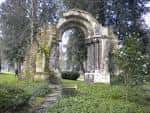 Arco románico de San Isidoro en ruinas, rodeado de vegetación dentro del Campo de San Francisco