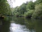 Vista amplia del río Mandeo rodeado de frondosa vegetación en Betanzos