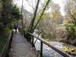 Senda fluvial junto al río Sar con vegetación exuberante y un caminante