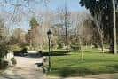 Sendero arbolado con farola en una zona de césped del parque