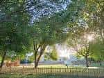 Vista soleada del Parque Rosalía de Castro con árboles frondosos
