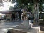 File:Canaries Tenerife Santa Cruz Plaza Del Principe Asturias ...