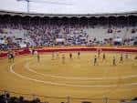 File:Cuadrilla en desfile en la plaza de toros de Palencia ...