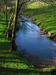 Tramo sereno del río Sar rodeado de verdes praderas y árboles
