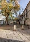 Árbol frondoso en la Plaza de Santa Bárbara con el convento al fondo