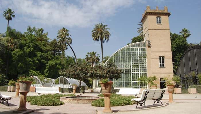 Visitas guiadas por el Jardín Botánico
