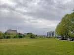 Extensa área de césped en el Parque de Tafisa bajo un cielo nublado