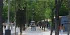 Cuesta de Moyano book stalls | Tourism Madrid