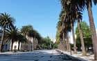Paseo principal de los jardines flanqueado por palmeras