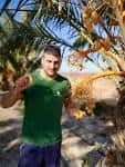 IN TODOPALMERA WE ARE DATES PRODUCERS - Todo Palmera