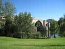 Orilla del río Miño con césped y árboles junto al Puente Romano