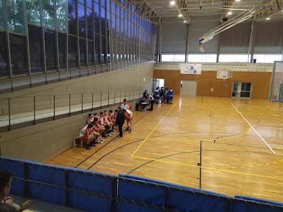 Actividad de vóley - A la nit, una altra moguda