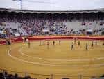 File:Cuadrilla en desfile en la plaza de toros de Palencia ...