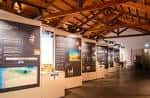 Interior del centro de recepción con exposición y techo de vigas de madera