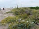 El Prat del Llobregat Beach | Consorci de Turisme del Baix Llobregat