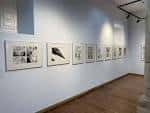 Sala de Cómic de Avilés – Comarca Avilés