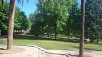 Zona arbolada y césped en el Parque Barbaña