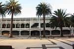 Kiosco Alfonso en A Coruña con palmeras en primer plano