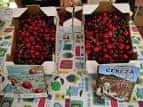 Jaén | El mercado de abastos del barrio de Peñamefécit cumple 55 ...