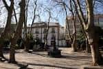 Vista invernal de la Praza de Azcárraga con árboles sin hojas y edificios históricos.