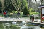 Donostia.eus - [Galeria] El Parque de Aiete