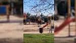 Reforma en el parque de los sentidos | SoyDe