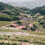 Vista panorámica del Pazo de Toubes y sus viñedos en un día soleado
