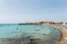 Excursión a la isla de Tabarca y el palmeral de Elche en Alicante ...