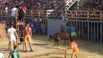 Bous a la mar - bull on stage - Dénia.com