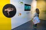 Escápate en familia al Museo de Ciencias Naturales de Granollers ...