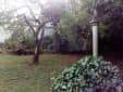 Jardín o patio interior con árboles y vegetación en Santiago de Compostela