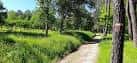 Parque Forestal de Coto Grande (Becerreira) - Concello de Vigo