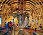 Observer® Science Tourism