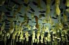 Instalación artística o exposición de objetos colgantes en el interior del museo