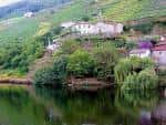 Casas en la ladera de la montaña con vegetación exuberante y vistas al río