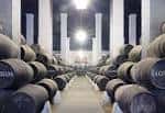 Bodegas Hidalgo La Gitana (2025) - All You Need to Know BEFORE You ...