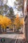 Otoño en el Preventori (Alcoy) | Más allá de la ciudad