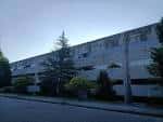 Fachada trasera de la Facultad de Comunicación de Pontevedra con árboles