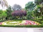 Parterre floral circular en los jardines
