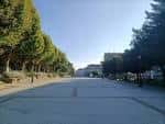 Amplia avenida arbolada con edificios al fondo bajo un cielo despejado