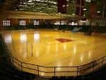 Las Instalaciones Deportivas Municipales cubiertas restringen su ...
