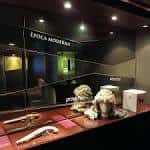 Museu de Sant Boi de LLobregat (2025) - All You Need to Know ...