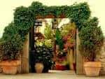 Entrada al jardín a través de un arco cubierto de vegetación