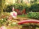 Una bella estampa de este hermoso jardín japonés. - Picture of La ...