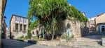 Vista exterior del museo con vegetación y arquitectura tradicional