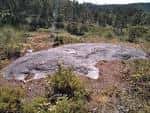 Petroglifo antiguo en una roca, destacando el valor arqueológico del lugar
