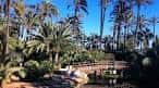 Palmeral de Elche (2025) - All You Need to Know BEFORE You Go ...