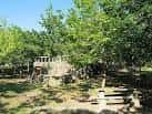 Área de picnic con mesas de piedra y bancos bajo los árboles
